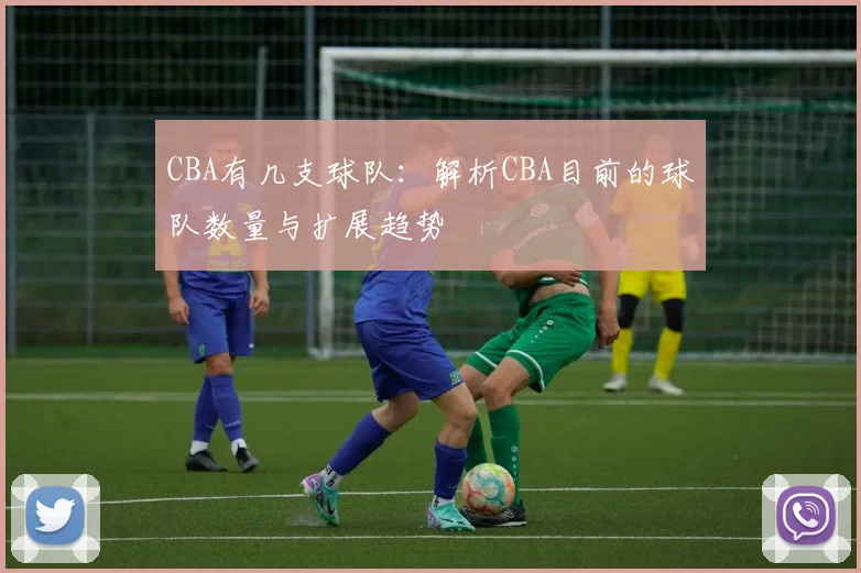 CBA有几支球队:解析CBA目前的球队数量与扩展趋势